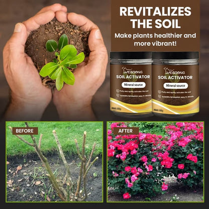 Soil Activator - Plant's Best Friend (BUY 1 GET 1 FREE)