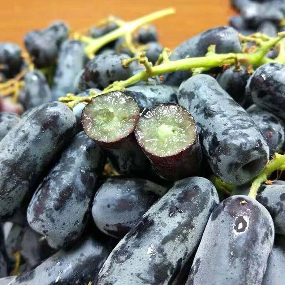 Imported Sweet Sapphire Grape Seeds