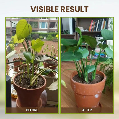 Soil Activator - Plant's Best Friend (BUY 1 GET 1 FREE)