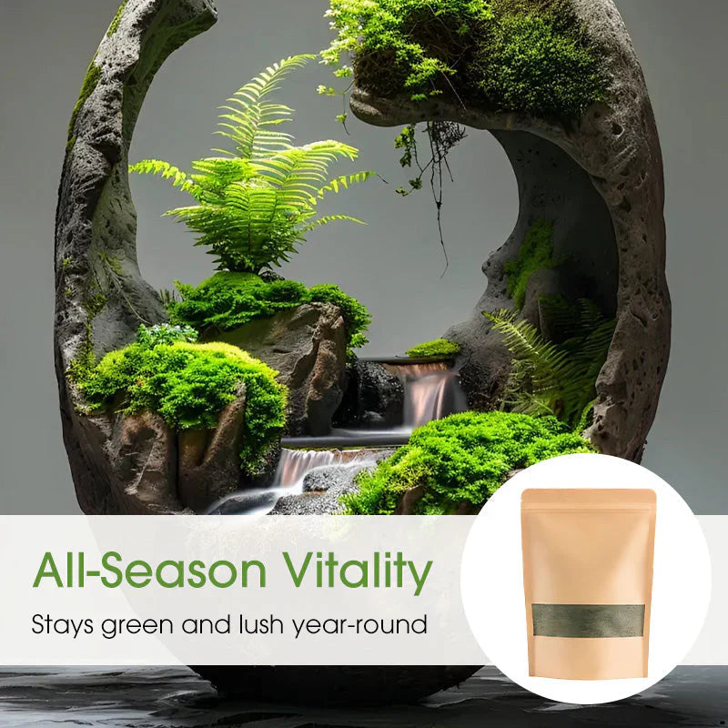 Olivify™ MossGrow Pro – Premium Moss Spore Powder (Pack of 2)