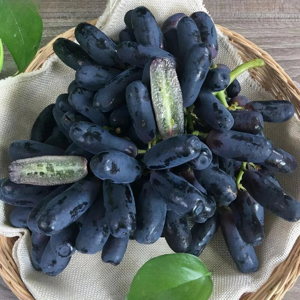Imported Sweet Sapphire Grape Seeds