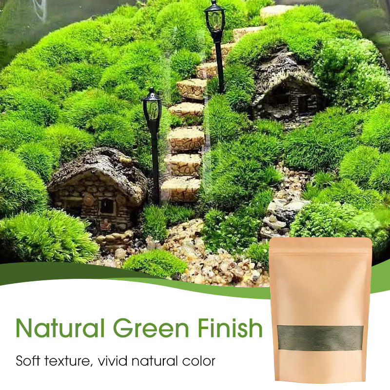 Olivify™ MossGrow Pro – Premium Moss Spore Powder (Pack of 2)