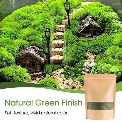 Olivify™ MossGrow Pro – Premium Moss Spore Powder (Pack of 2)